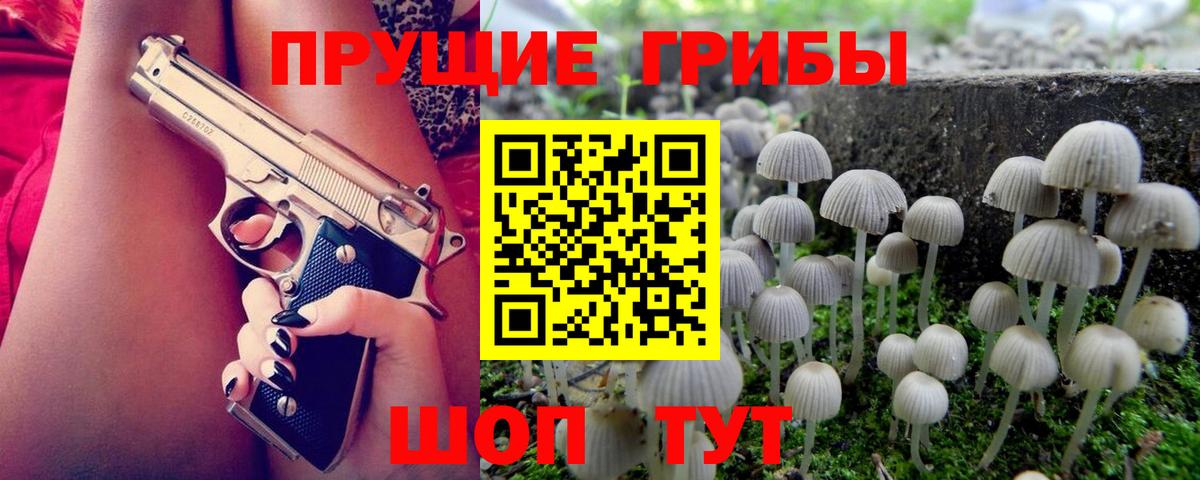 Псилоцибиновые грибы мицелий  Вход с VPN  Каменск-Уральский 
