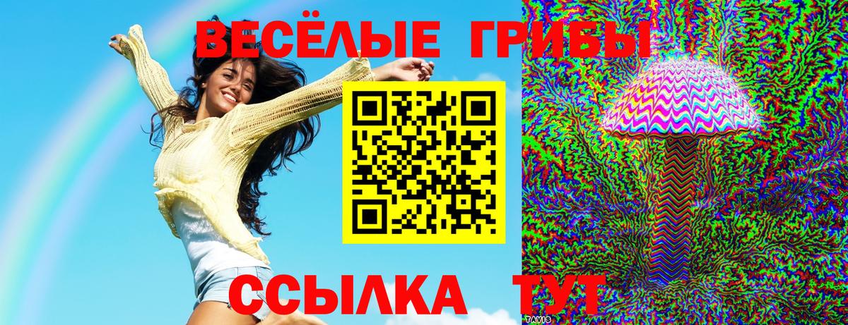 Галлюциногенные грибы Psilocybe Каменск-Уральский